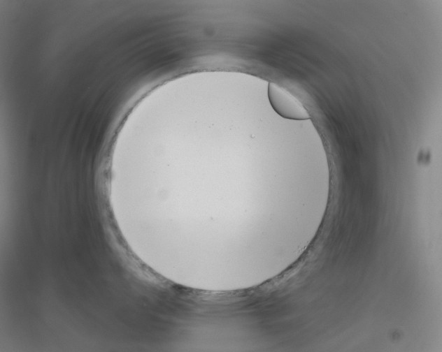 X0000116811008201001291557