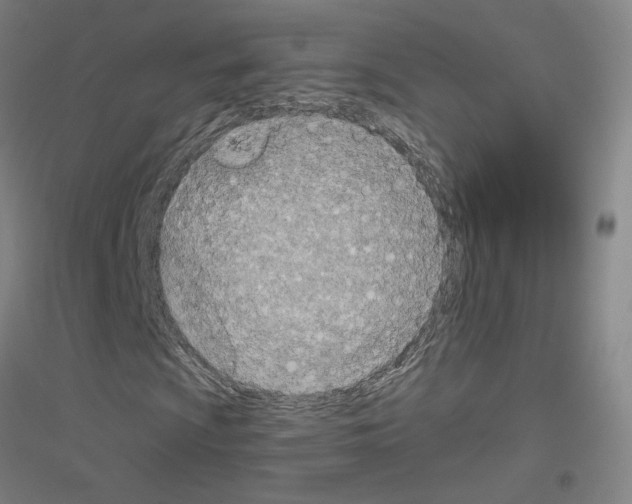 X0000116811009201001291556