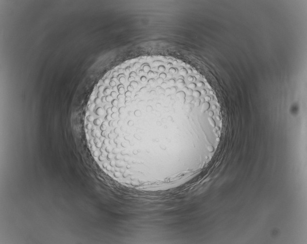 X0000116811010201001291556
