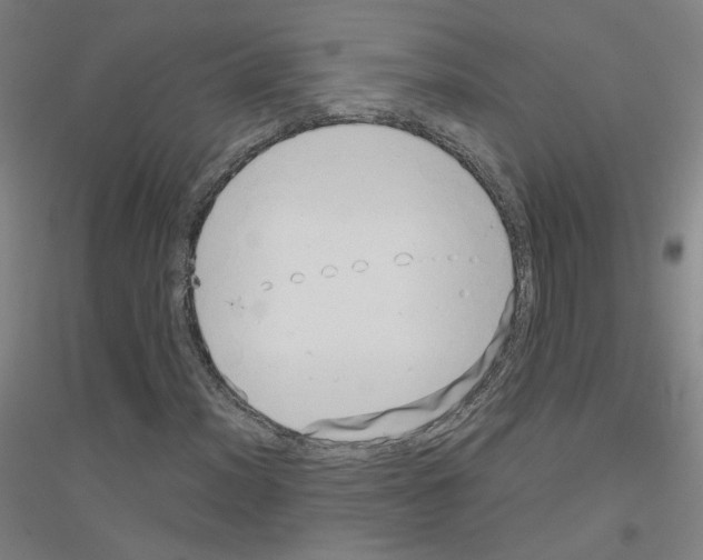 X0000116811012201001291557