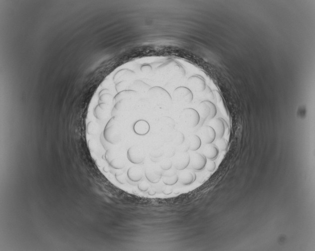 X0000116811014201001291557