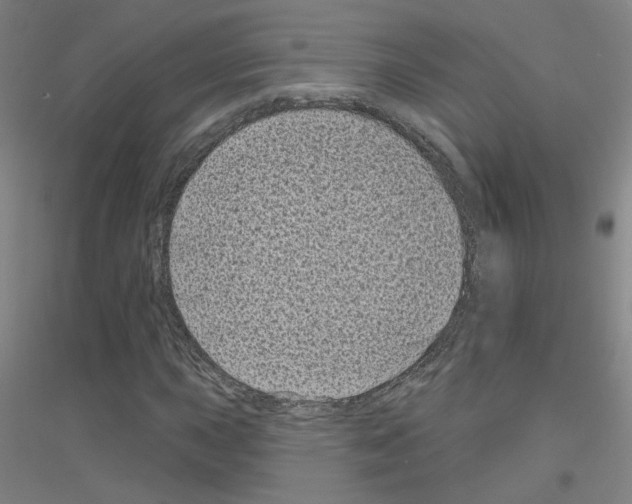 X0000116811015201001291557