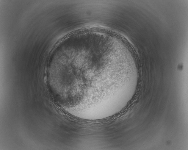 X0000116811016201001291557
