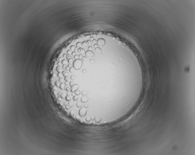 X0000116811018201001291557