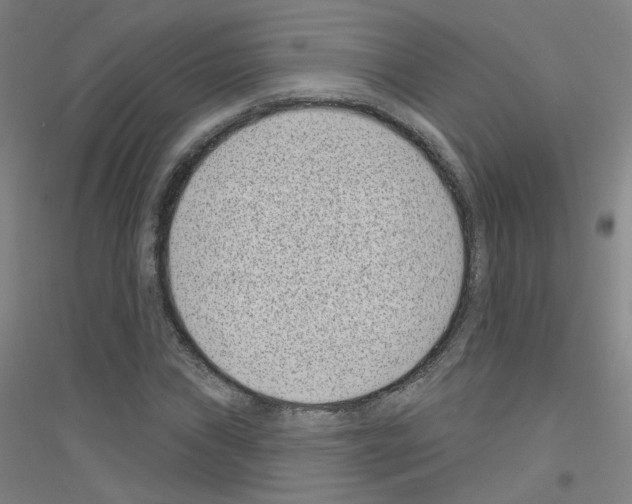 X0000116811019201001291557