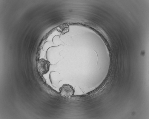 X0000116811020201001291557