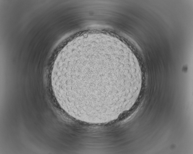X0000116811021201001291557