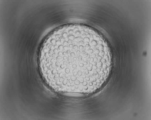 X0000116811022201001291557