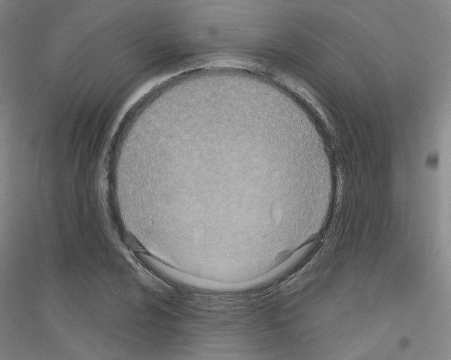 X0000116811024201001291557