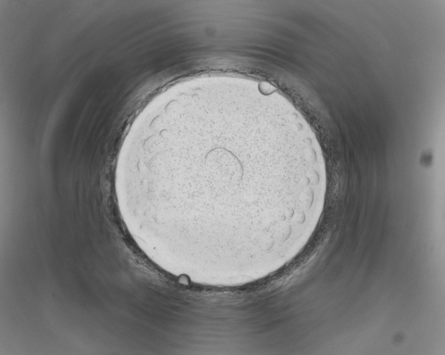 X0000116811025201001291557