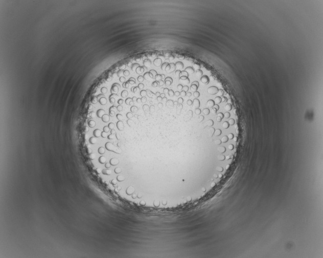 X0000116811026201001291557