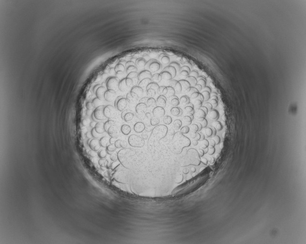 X0000116811030201001291557