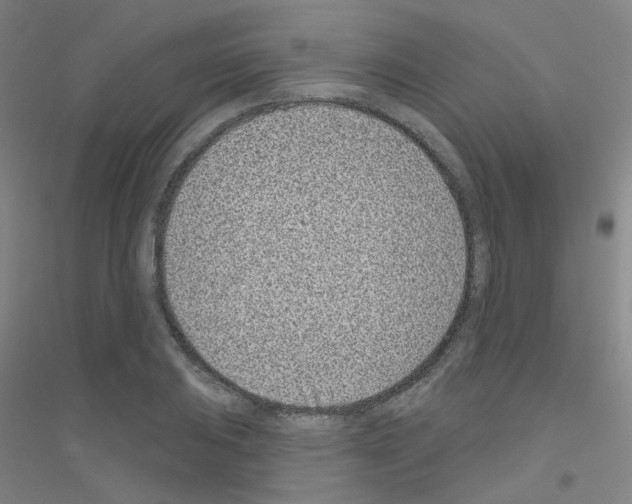 X0000116811031201001291557