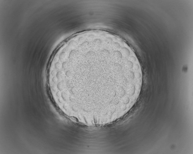 X0000116811032201001291557