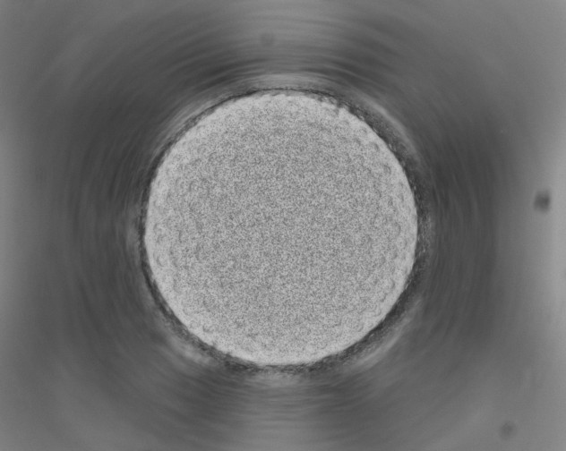 X0000116811033201001291557