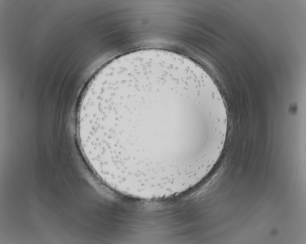 X0000116811034201001291557