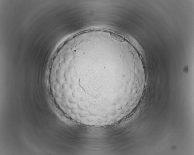 X0000116811036201001291557
