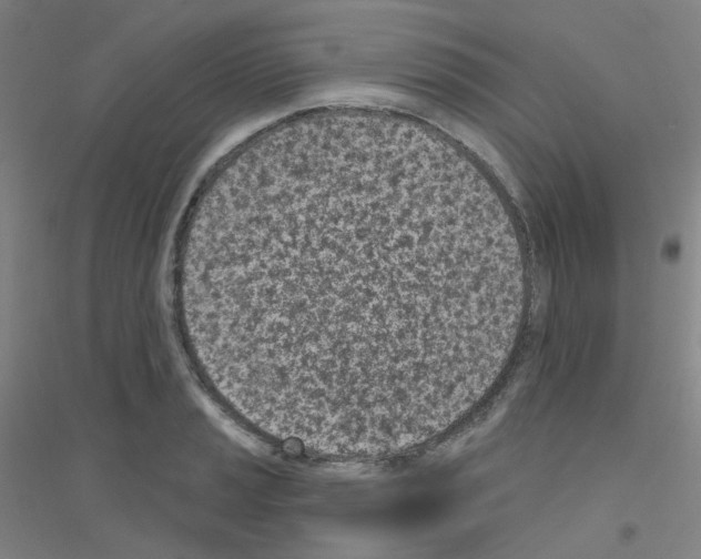 X0000116811037201001291557
