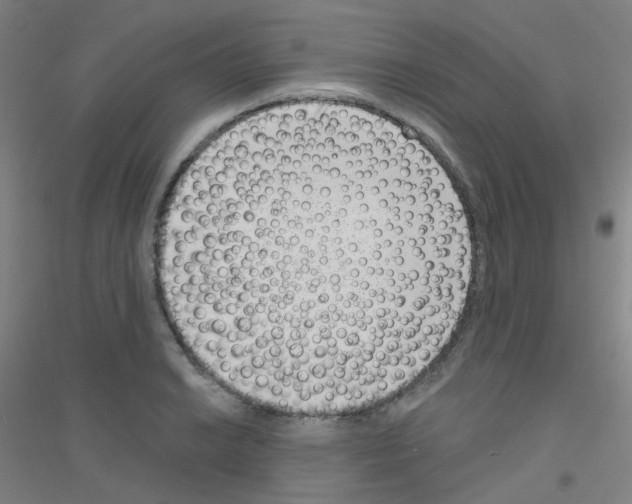 X0000116811038201001291557