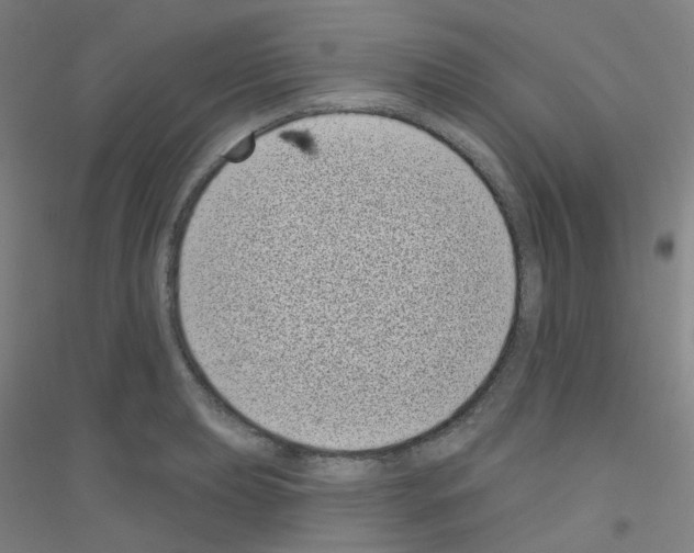 X0000116811039201001291557