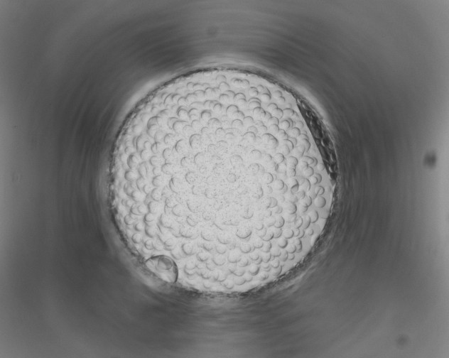 X0000116811040201001291557