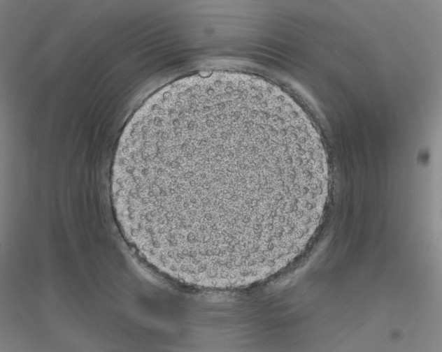 X0000116811041201001291557