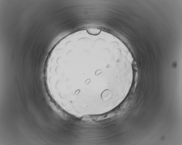 X0000116811042201001291557