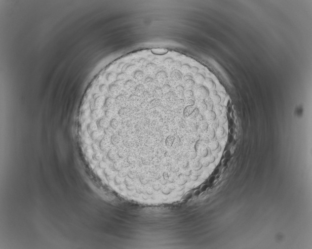 X0000116811044201001291557