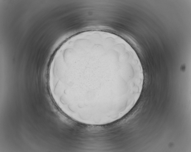 X0000116811046201001291557