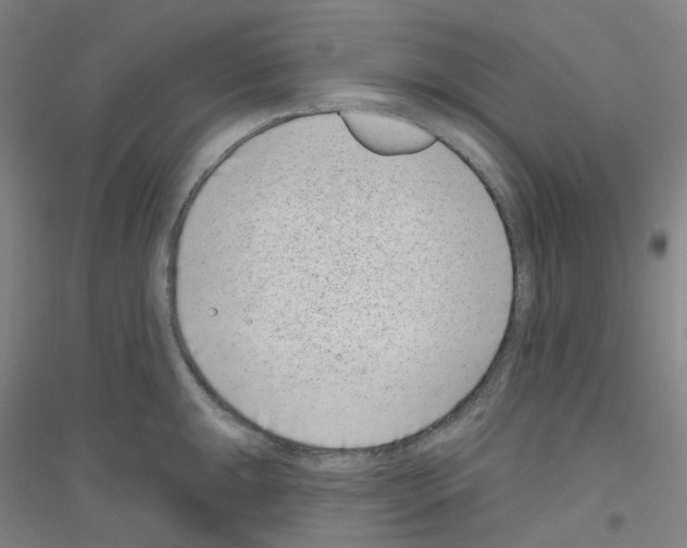 X0000116811047201001291557
