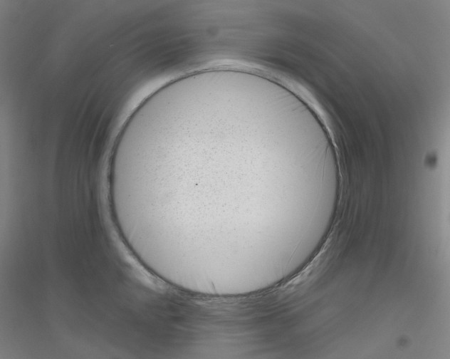X0000116811048201001291557