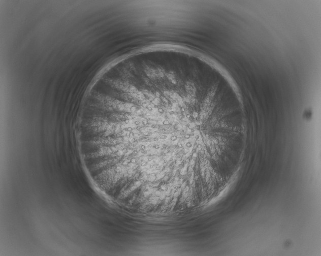 X0000116811049201001291557