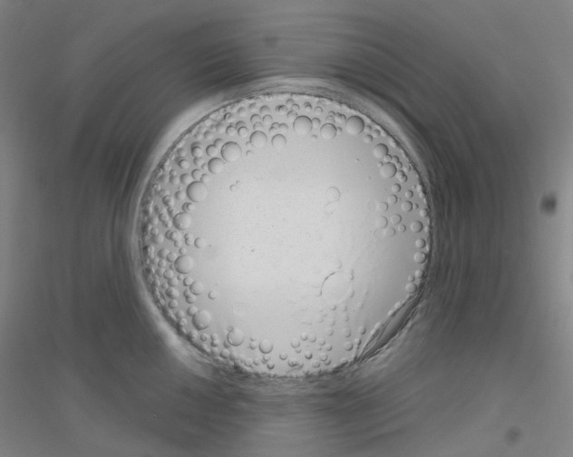 X0000116811050201001291557