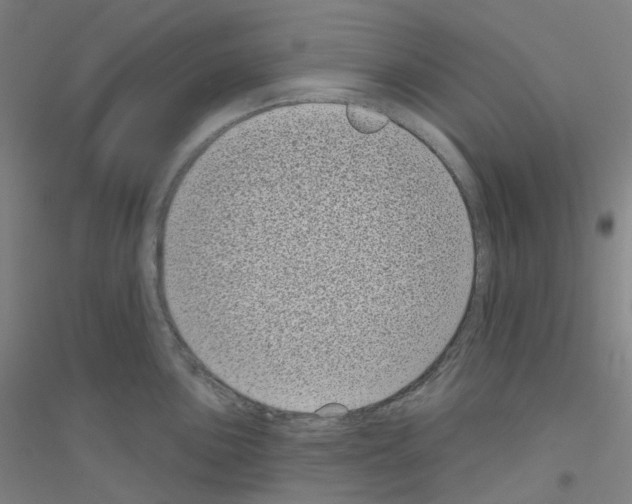 X0000116811051201001291557