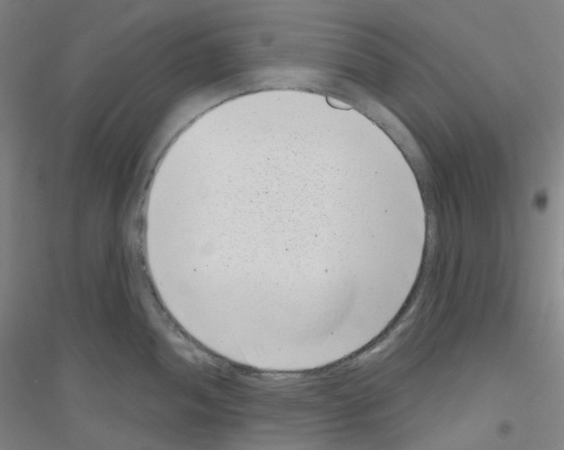 X0000116811052201001291557