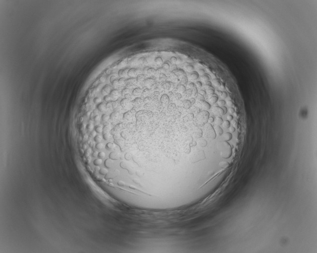 X0000116811054201001291557