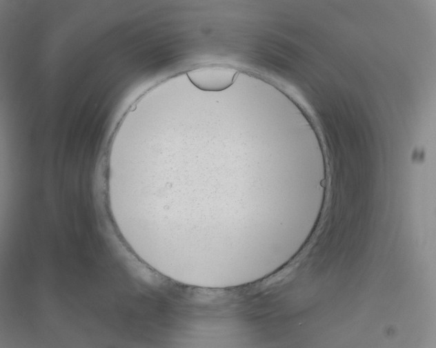 X0000116811056201001291557