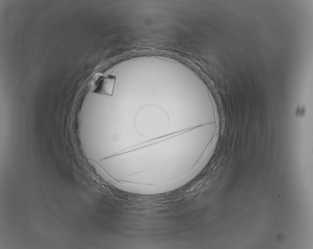 X0000116811057201001291556