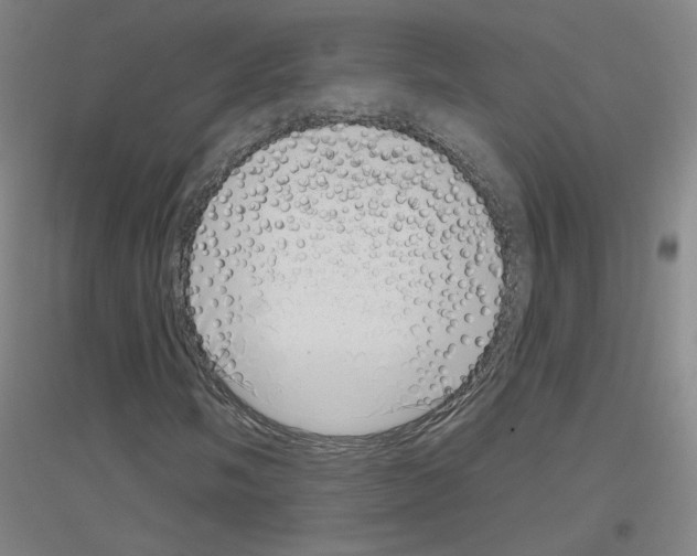 X0000116811058201001291556