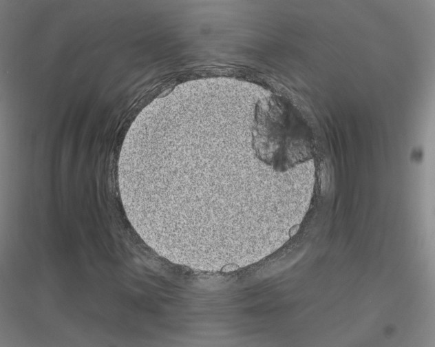 X0000116811059201001291556
