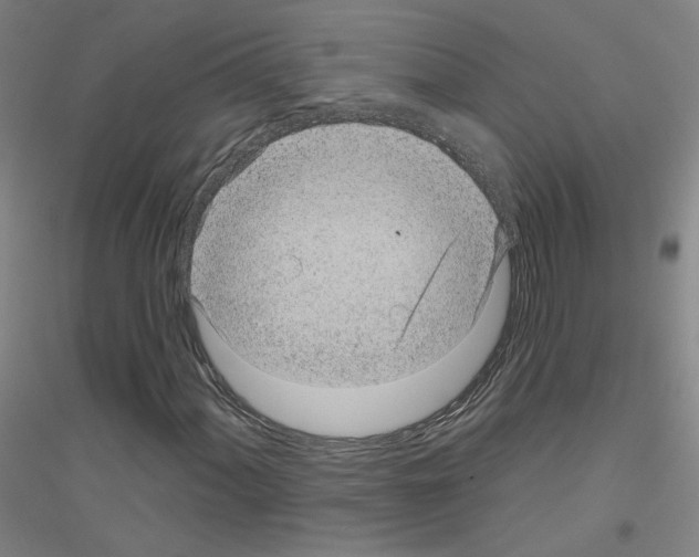 X0000116811060201001291556