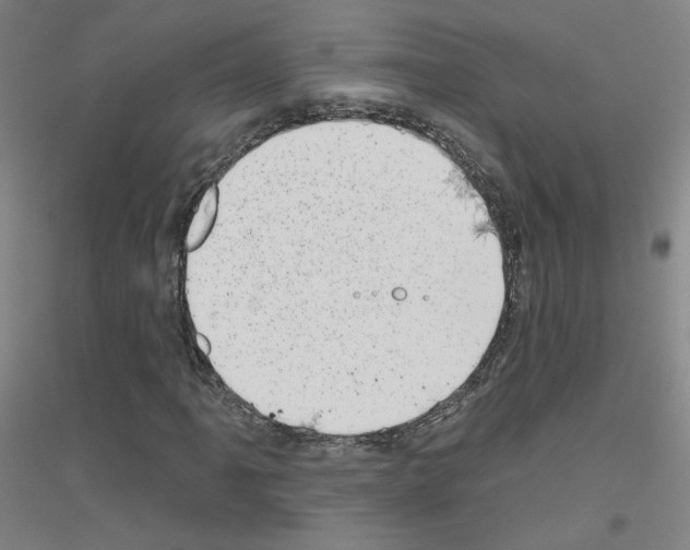 X0000116811061201001291556