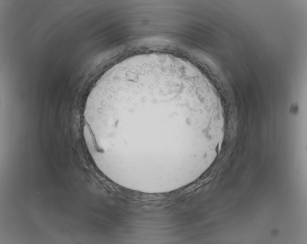 X0000116811062201001291556