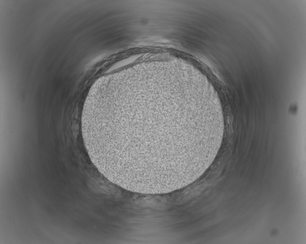 X0000116811063201001291556