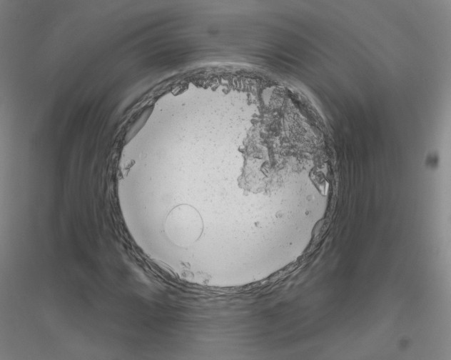 X0000116811064201001291556