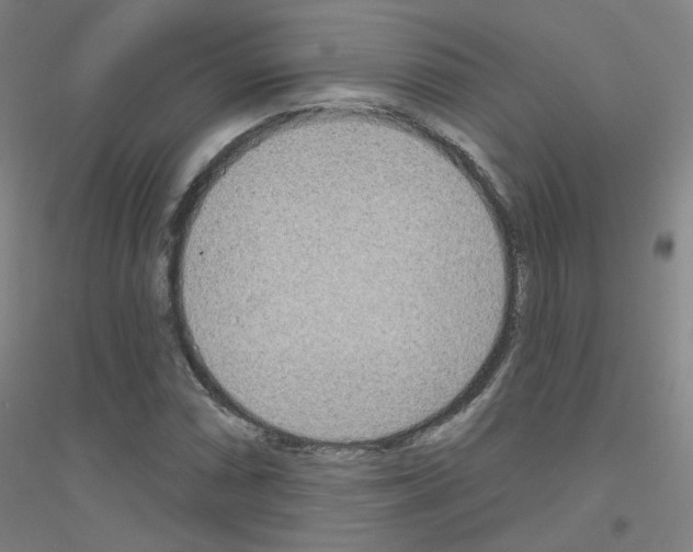 X0000116811066201001291556