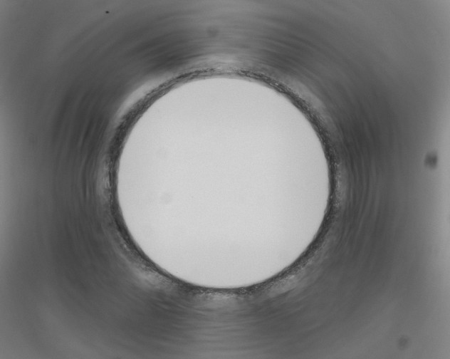 X0000116811070201001291556