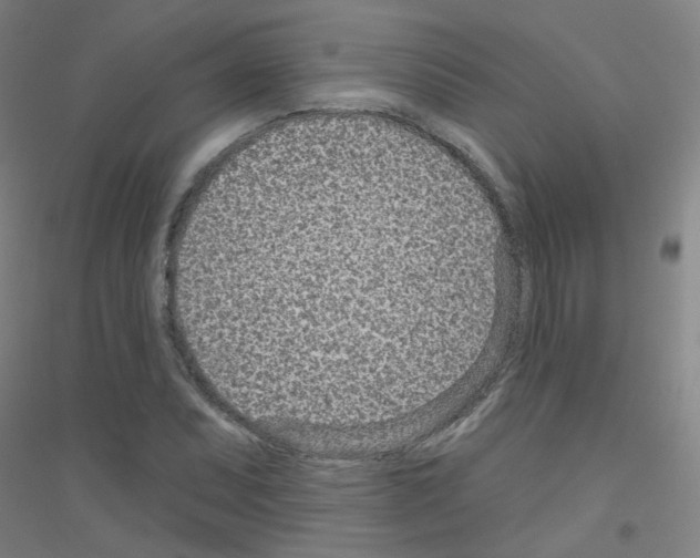 X0000116811071201001291556