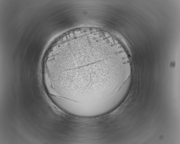 X0000116811072201001291556