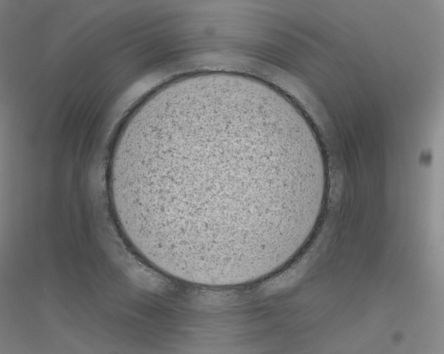 X0000116811074201001291556